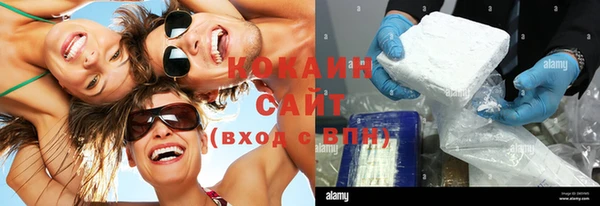 крисы Белокуриха