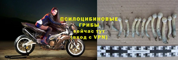 крисы Белокуриха