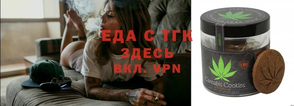 spice Богородицк