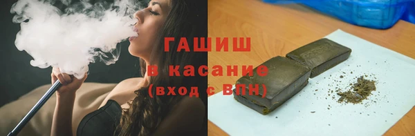 spice Богородицк