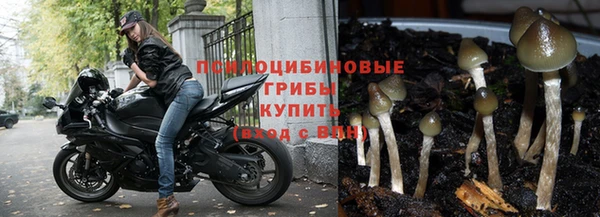 spice Богородицк