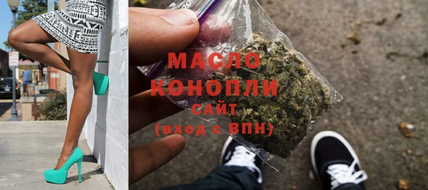 spice Богородицк