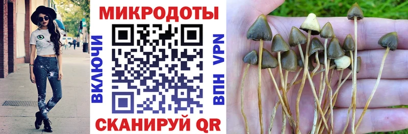 Купить закладки  Новая Усмань  Псилоцибиновые грибы Psilocybine cubensis 